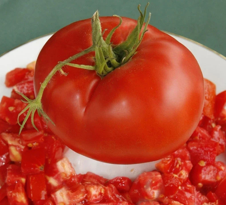 Giant Slicer Tomato Seeds - Bulk 100 Pack - Heirloom Solanum lycopersicum for Large Juicy Slicing Tomatoes