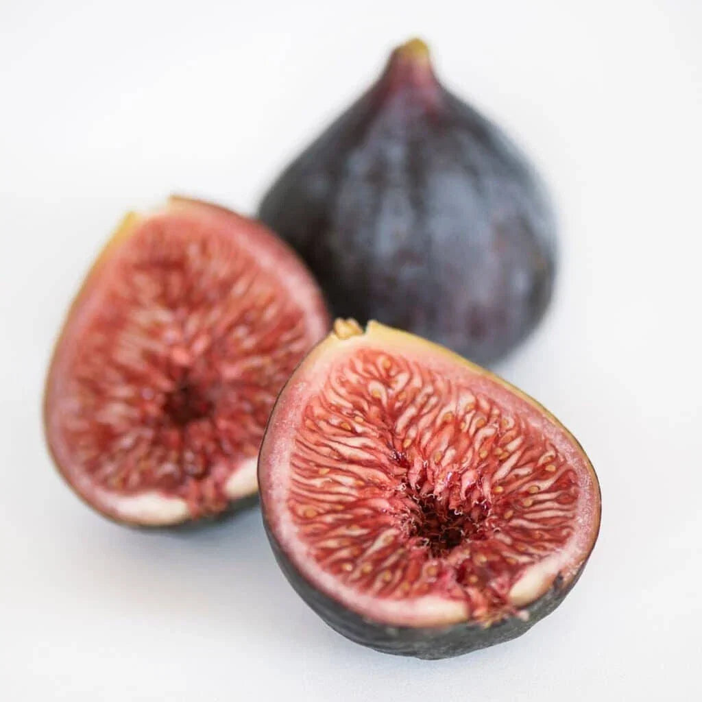Black Mission Fig Seeds - 100+ Organic Ficus carica Fruit Tree Seeds for Garden Planting, Home & Container Gardening