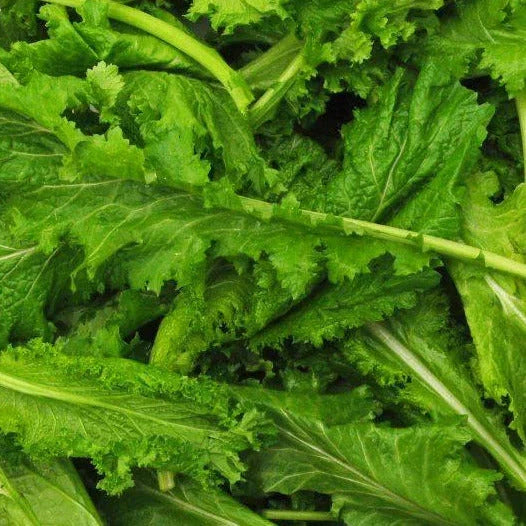 Spicy Brown Mustard Greens Seeds - Brassica juncea - Organic, Non-GMO, 1000+ Seeds for Home Garden & Urban Farming
