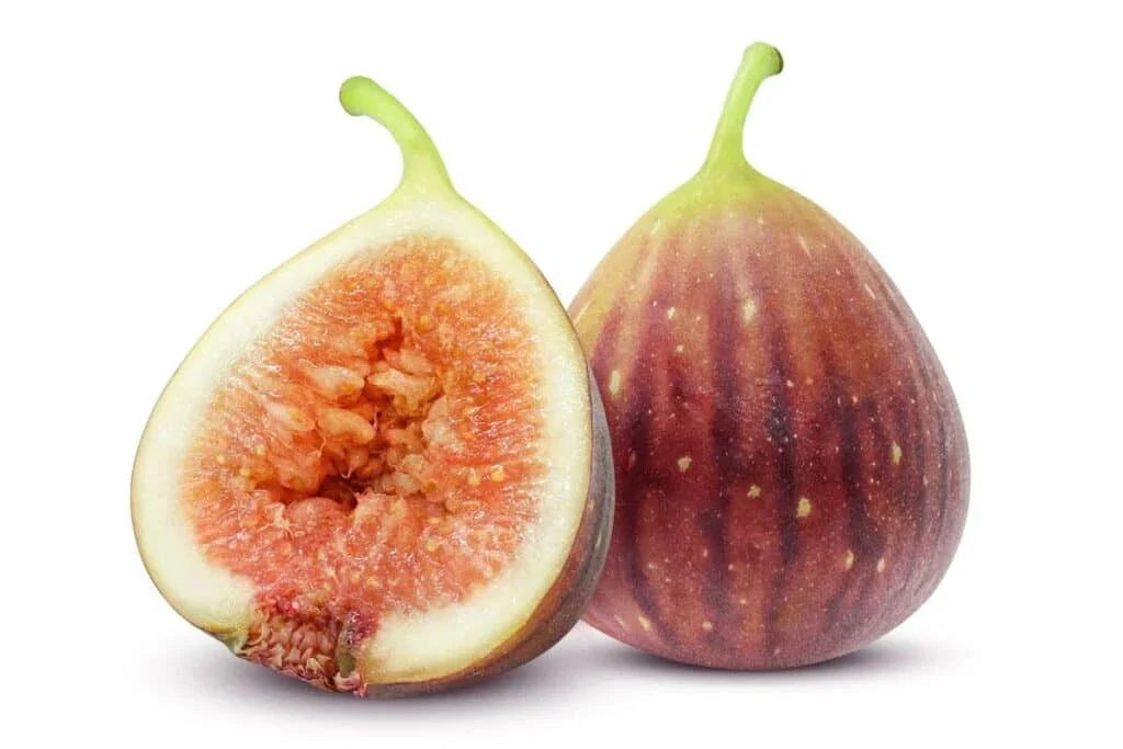 Smyrna Fig Seeds Pack - 100+ Ficus carica Fruit Tree Seeds for Home Garden, Backyard Orchard, Non-GMO, USA Grown