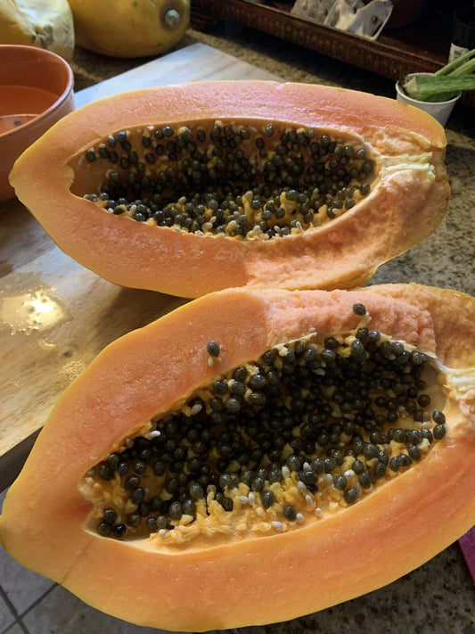 Maradol Papaya Seeds - 25 Sweet Edible Tropical Fruit Seeds - Carica papaya - Fast Growing, Non-GMO Gardening Supplies