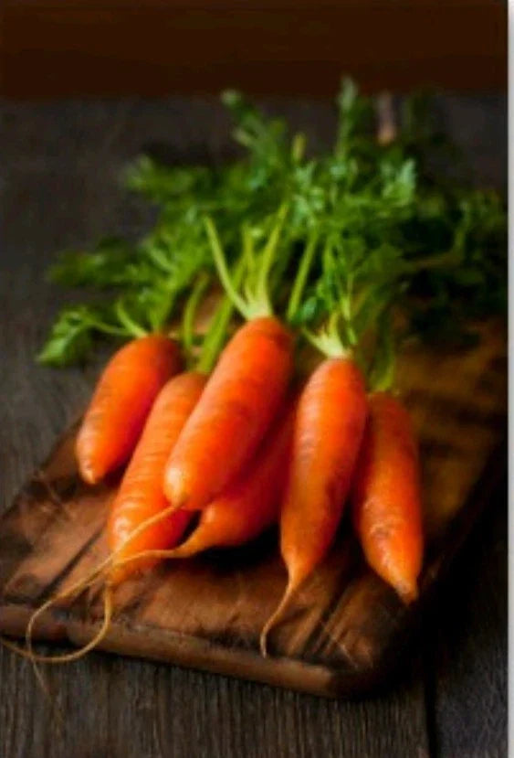 Little Fingers Baby Carrot Seeds - Organic Non-GMO Open Pollinated Daucus carota, 300+ Seeds for Home Gardening