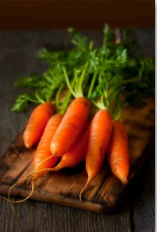 Little Fingers Baby Carrot Seeds - Organic Non-GMO Open Pollinated Daucus carota, 300+ Seeds for Home Gardening