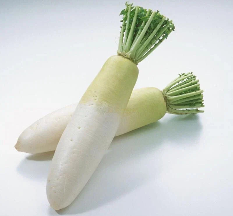Daikon Radish Seeds - Heirloom Organic Non-GMO Chinese White Raphanus sativus var. longipinnatus - Pack of 200+
