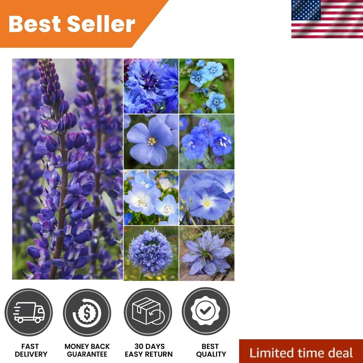 Mixed Wildflower Seeds - 30,000+ Seeds for Pollinators, Butterfly & Bee Attractant, Native Wildflower Blend, Garden Wildflower Seed Mix