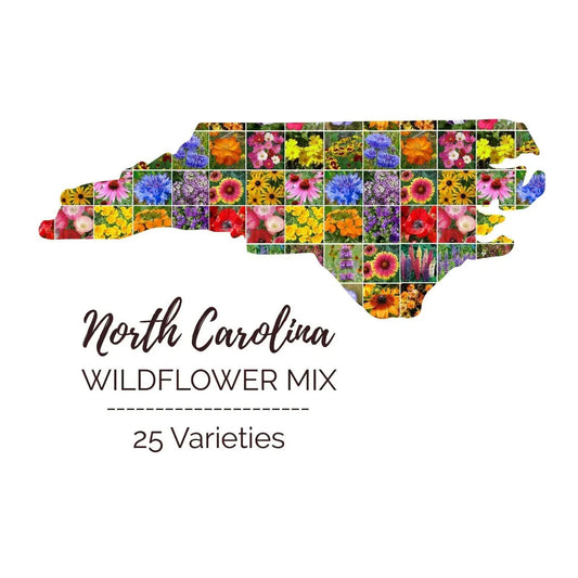 North Carolina Wildflower Seed Mix – 1000 Non-GMO Native Perennial & Annual Seeds for Pollinator Gardens