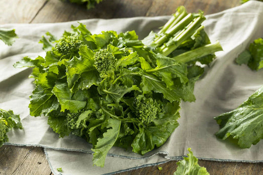 Organic Broccoli Raab Seeds - Heirloom Non-GMO Brassica rapa var. ruvo for Home Gardening & Container Planting