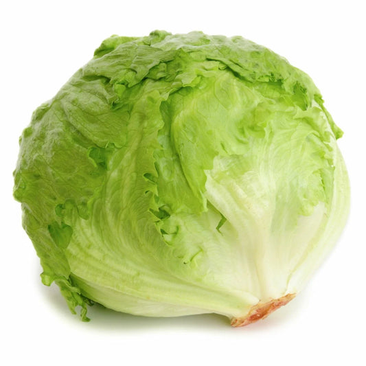 Iceberg Lettuce Seeds | Heirloom Non-GMO | Crisp Green Variety | Lactuca sativa | Salad Greens for Container & Garden