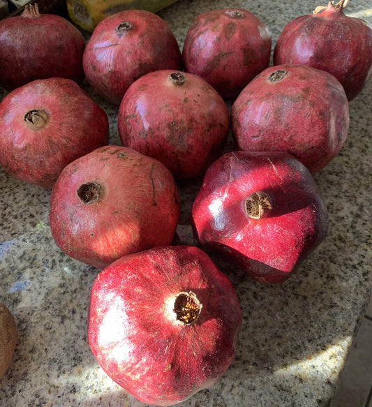 Organic Pomegranate Seeds - 25 Non-GMO Punica granatum for Home Garden, Edible Fruit Tree, Bountiful Harvest