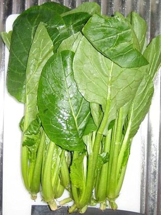 Komatsuna Seeds - Japanese Green Spinach Mustard - Non-GMO Brassica rapa var. perviridis - Nutrient-Rich Greens for Salad & Stir-Fry