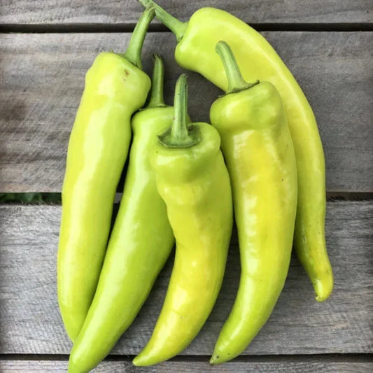 Hungarian Hot Wax Pepper Seeds - Guero Yellow Variety, Capsicum annuum, 15,000 Scoville, Organic, for Cooking & Pickling