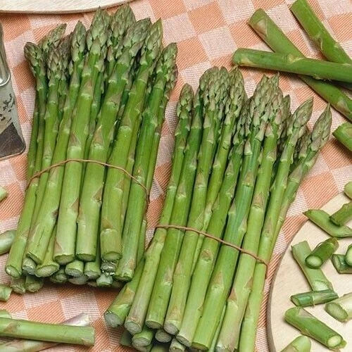 Asparagus Seeds Pack of 200+ | Organic, Non-GMO, Heirloom | Asparagus officinalis Perennial Vegetable Seeds