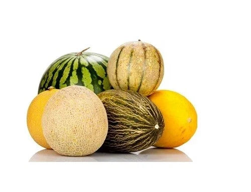 Melon Seeds Packets – Watermelon, Cantaloupe, Musk, Crenshaw, Canary, Asian Varieties – Non-GMO, Heirloom, Full Sun, Garden