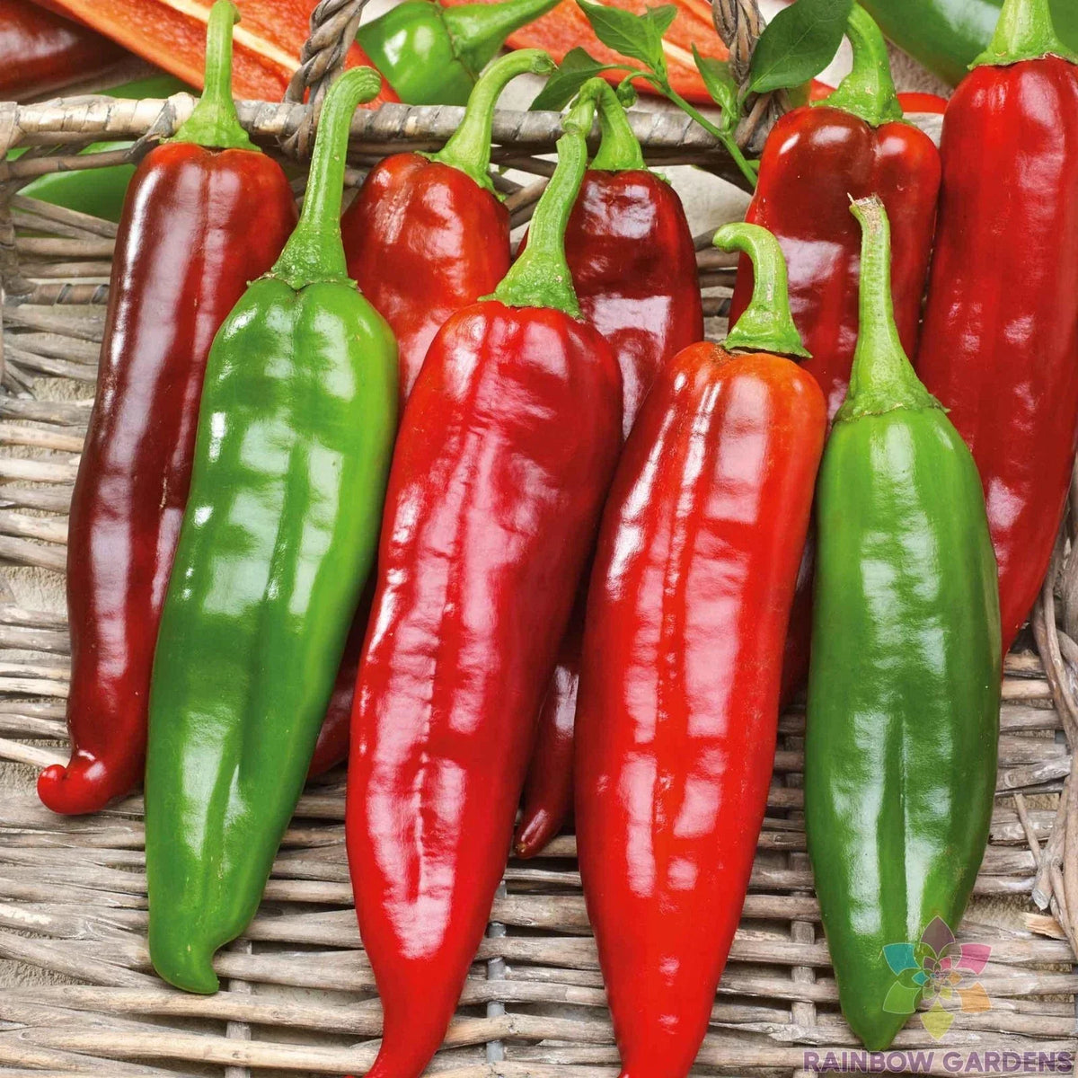 Big Jim Hot Pepper Seeds - 25+ Pack - Capsicum annuum - Non-GMO USA Grown - Ideal for Gardening and Culinary Use