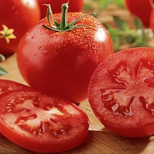 Celebrity Tomato Seeds F1 Hybrid Non-GMO Bulk Pack Solanum lycopersicum for Home Gardens