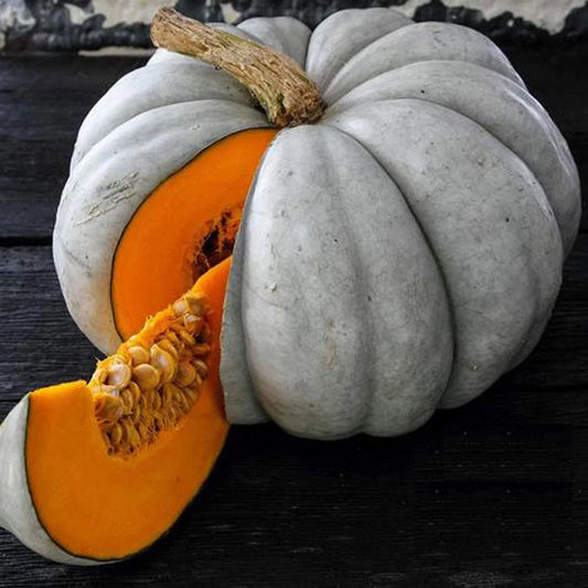 Jarrahdale Blue Pumpkin Seeds - Heirloom Cucurbita maxima for Baking & Decoration - Pack of 10