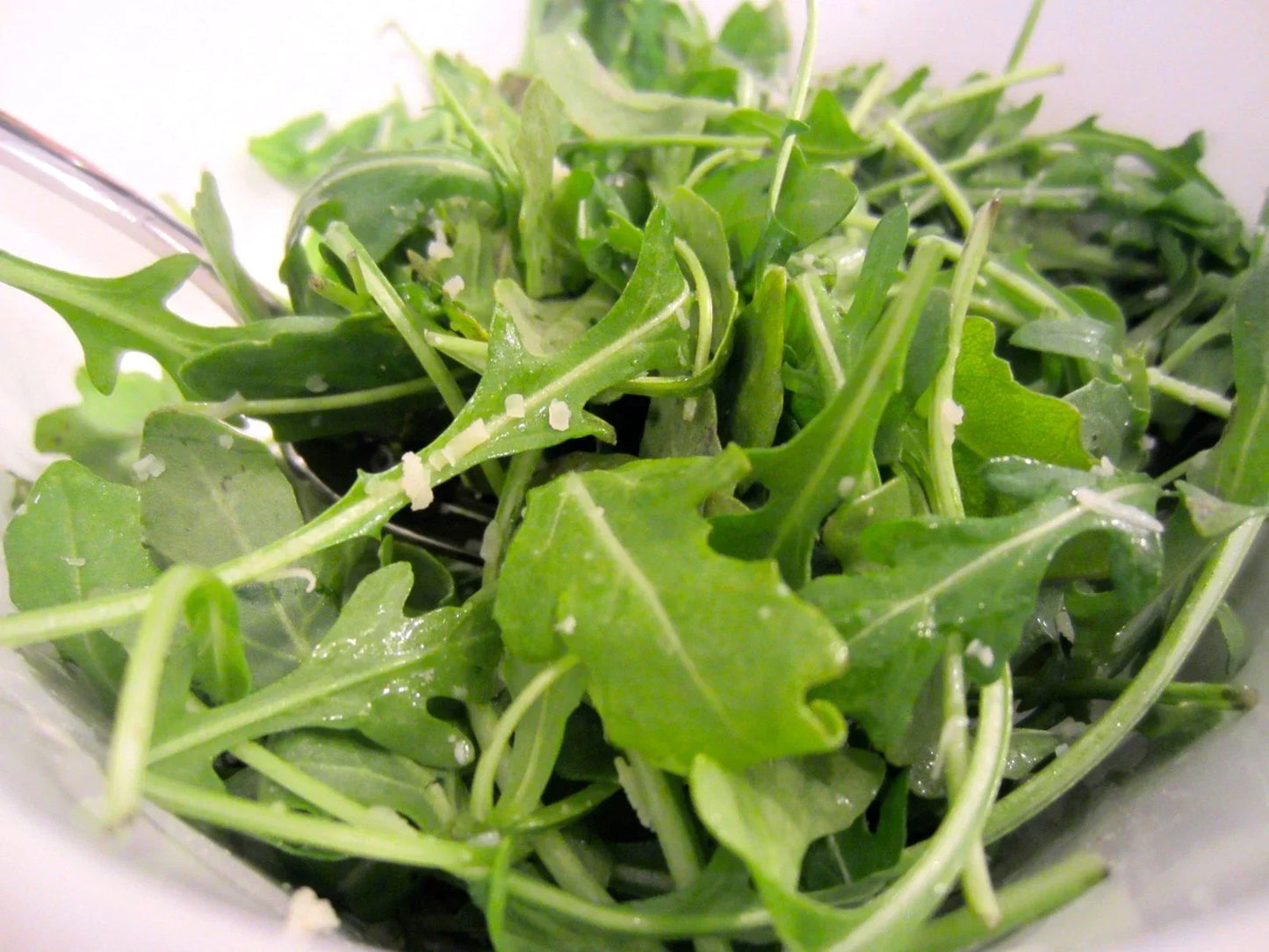 Organic Arugula Seeds Pack - 600+ Eruca sativa for Spring & Fall Gardens, Containers, Patio Gardening