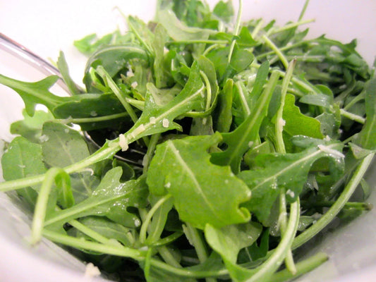 Organic Arugula Seeds Pack - 600+ Eruca sativa for Spring & Fall Gardens, Containers, Patio Gardening