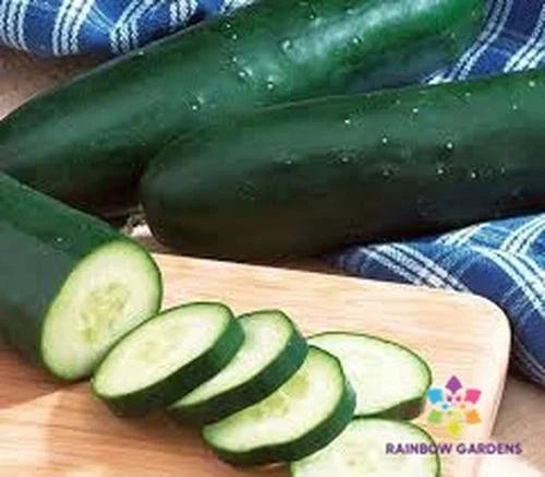 Diomede Cucumber Seeds Pack – 25+ Non-GMO Cucumis sativus for Home Garden, Container Planting, Full Sun, Climbing Vine