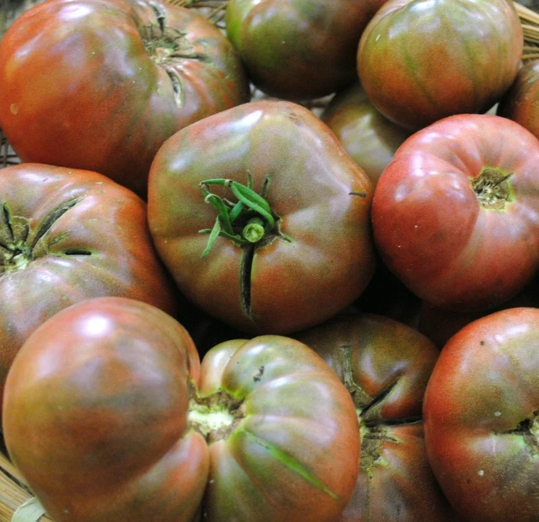 Cherokee Purple Tomato Seeds - 100+ Non-GMO Indeterminate - Solanum Lycopersicum - Heirloom Vegetable Garden Variety