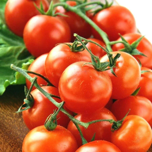 Organic Heirloom Cherry Tomato Seeds - 100+ Solanum lycopersicum Vegetable Garden Seeds for Patio & Container Planting