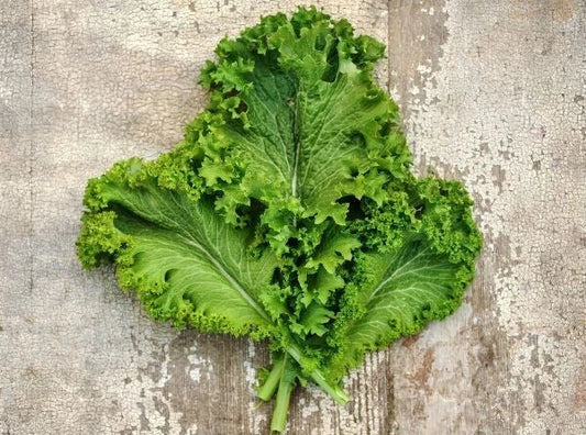 Green Wave Mustard Seeds - 150 Count, Brassica juncea, Microgreens, Sharp & Spicy, Cold Hardy, Nutrient-Rich Seeds
