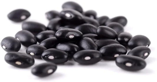 Cherokee Trail of Tears Bean Seeds - 20 Heirloom Seeds - Phaseolus vulgaris - Flavorful, Easy to Grow, Purple Green Foliage