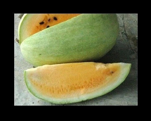 Heirloom Watermelon Seeds - Missouri Yellow Flesh - Rare Citrullus lanatus Variety - 7 Pack for Home Garden and Farming