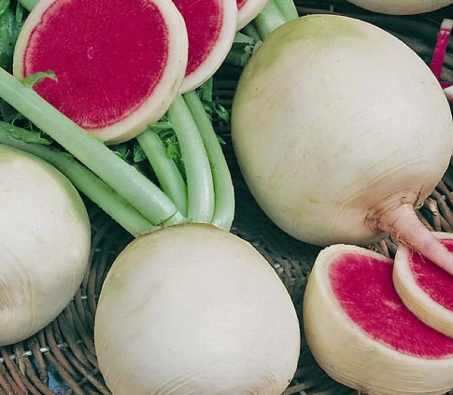 Watermelon Radish Seeds - 100+ Non-GMO Raphanus sativus Heirloom Vegetable Gardening