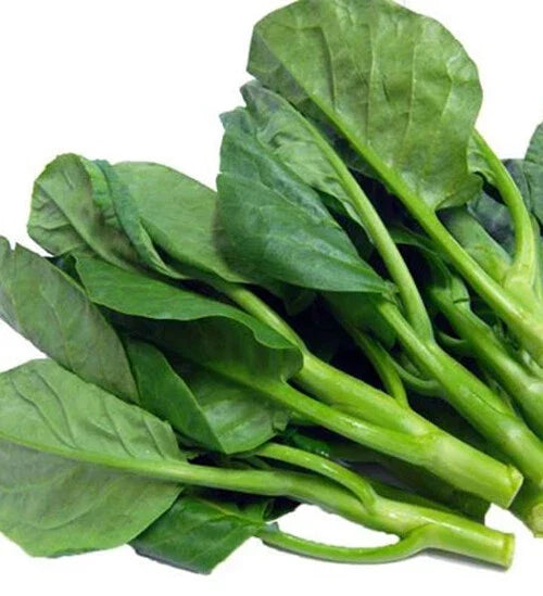 Chinese Kale Seeds - 100+ Brassica oleracea var. alboglabra Gai Lan, Kailaan, Asian Vegetable for Home Garden, Container & In-ground Planting