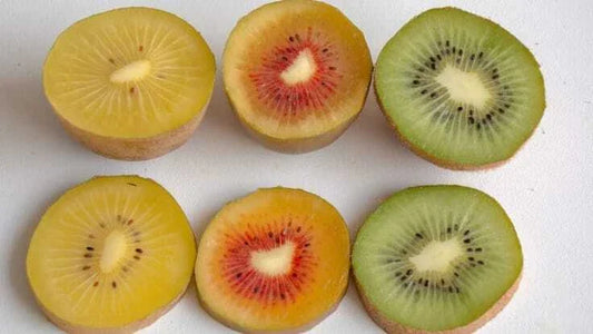 Organic Kiwi Fruit Seeds Pack - Non-GMO Golden, Yellow, Red, Green Varieties - Actinidia deliciosa for Home Gardens