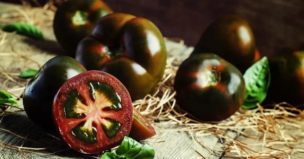 Black Truffle Tomato Seeds - Heirloom Organic Non-GMO, Rare Early Variety, Solanum lycopersicum, 120+ Seeds for Gourmet Cooking