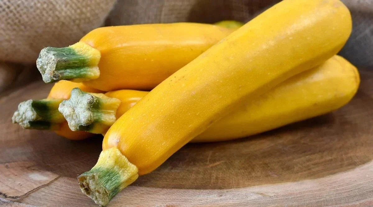 Zucchini Squash Seeds, 25+ Easy Pick Gold II, Cucurbita pepo, Non-GMO, Home Garden, Bright Yellow, Bush-Type, Open-Pollinated