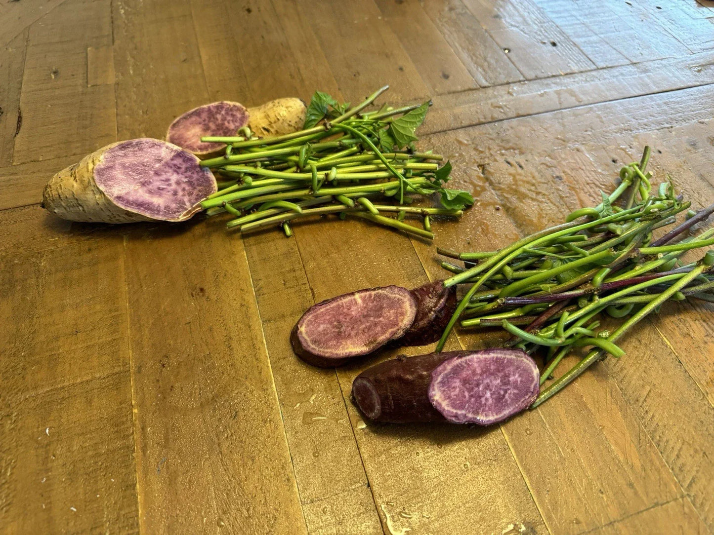 Sweet Potato Slip Cuttings 40 Pack – Molokai & Okinawa Varieties, Japan Purple, Ipomoea batatas, Root & Foliage Plants for Gardening