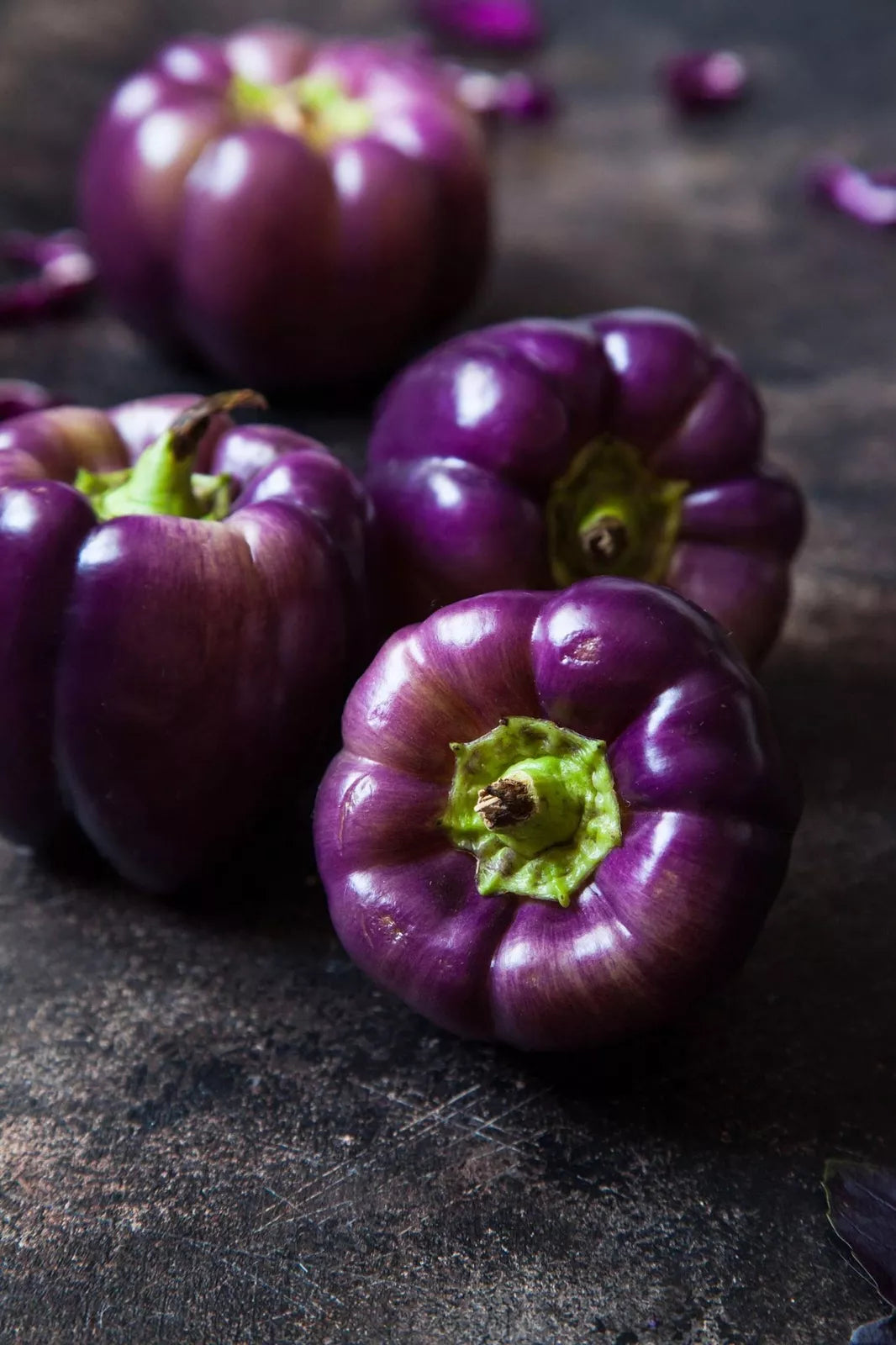Purple Beauty Pepper Seeds - 100+ Seeds - Capsicum annuum - Versatile Edible Pepper for Gardening, Medium Heat, Colorful Harvest