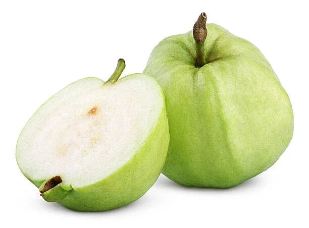 Apple Guava Seeds - 50+ Pack, Tropical Fruit, Psidium guajava, Garden Planting, Fruit Salad, Subtropical Climates