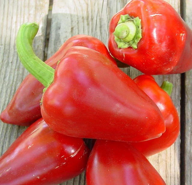 Sweet Pepper Seeds - Pimento L Variety - Heart-Shaped Capsicum annuum - 20 Count Packet for Home Gardening