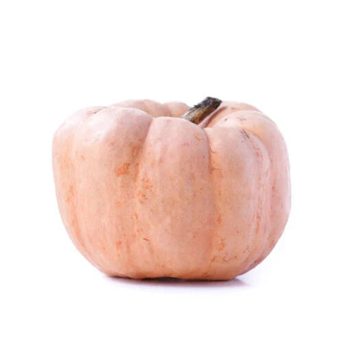 Porcelain Doll Pumpkin Seeds - 25+ Pack for Garden Planting - Cucurbita pepo - Pale Pink Vining Pumpkins for Fall Decor & Culinary Use