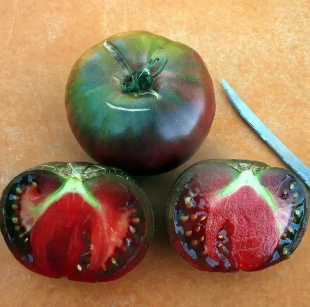 Black From Tula Tomato Seeds - 10+ Organic Heirloom Non-GMO - Rare Variety (Solanum lycopersicum) for Home Gardening