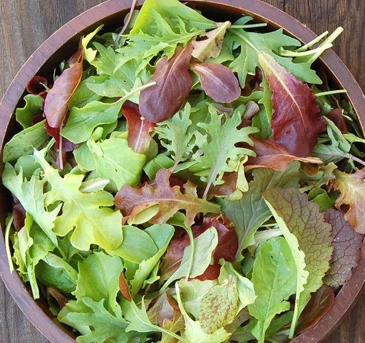 Organic Mesclun Mix Seeds 1oz | Gourmet Lettuce Greens Blend for Garden & Container | Edible Salad Greens