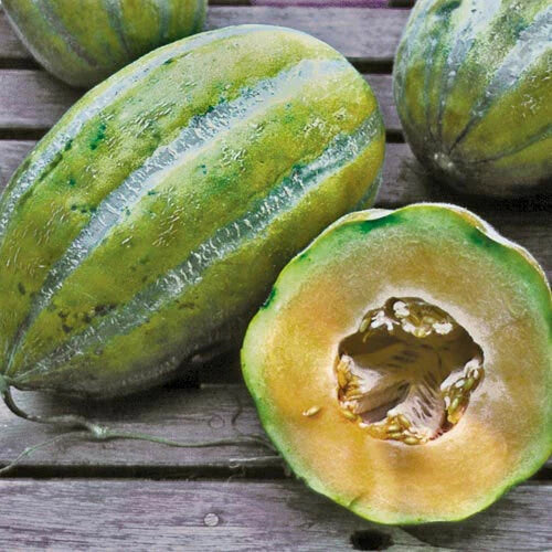 Bidwell Casaba Melon Seeds - Heirloom Cucumis melo, Large Sweet Melons, 20-100 Seeds for Garden Planting
