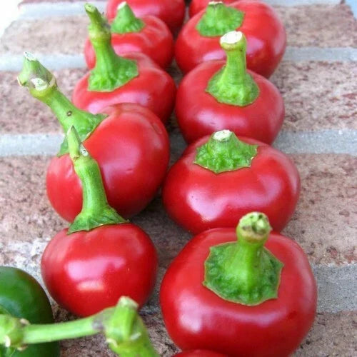 Cherry Pepper Seeds - Large Red Heirloom Non-GMO Capsicum annuum for Home Garden, Culinary Use
