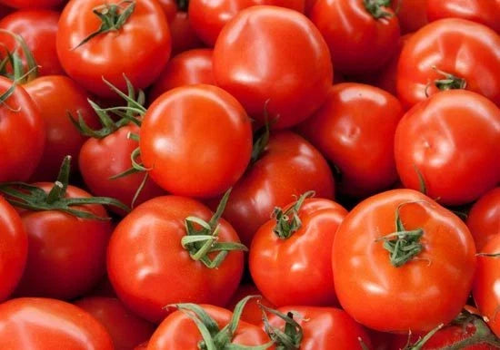 Early Girl Hybrid Tomato Seeds – Bush Type, 15 Seeds, Solanum lycopersicum, Compact, Fast-Maturing, Disease-Resistant, Container Gardening