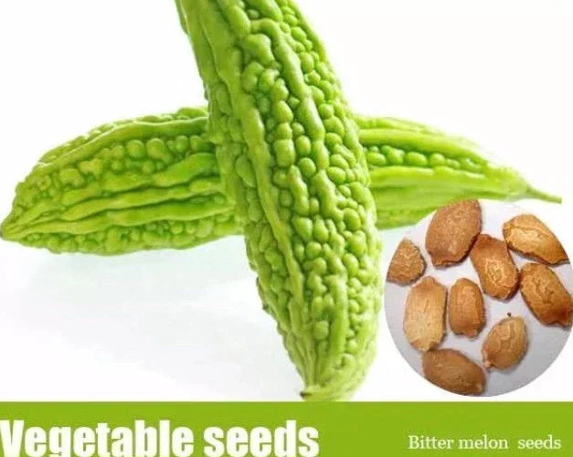 Bitter Melon Seeds 50+ Pack | Momordica charantia | Climbing Vine for Garden & Container Growing