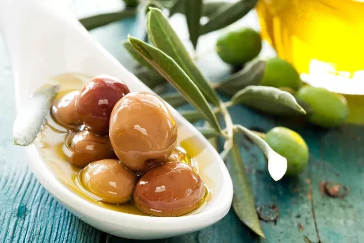 Arbequina Olive Seeds - Spanish Variety for Garden Planting - Olea europaea - Homegrown Olive Tree Seeds