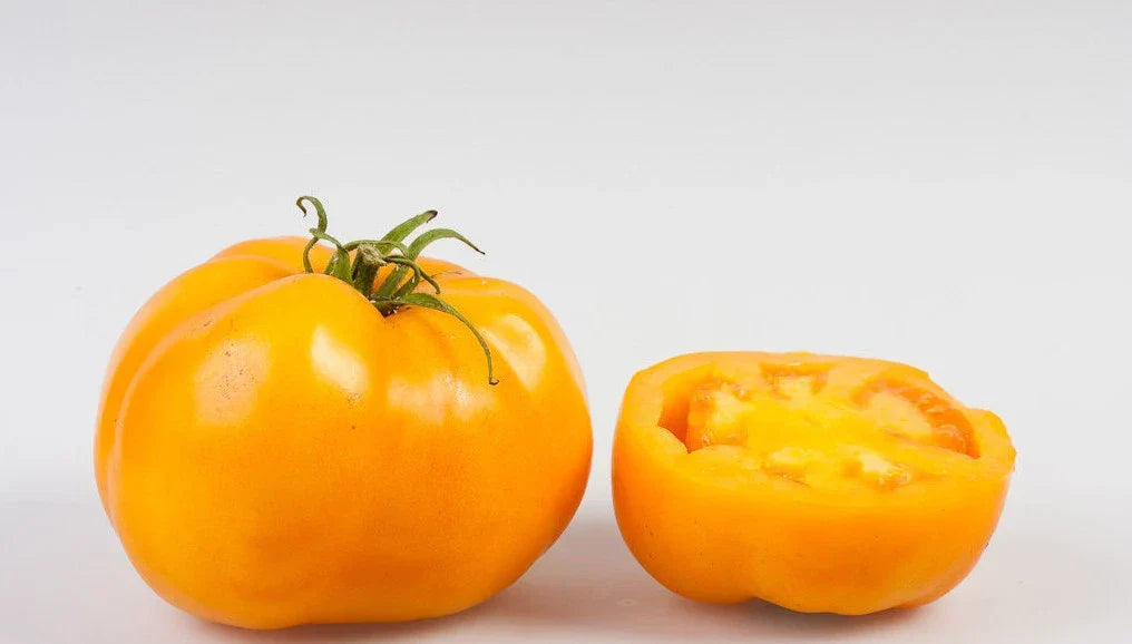 Sunray Tomato Seeds - Heirloom, Low Acid, Meaty Interior, Bright Yellow-Orange, 20 Count Packet, Solanum lycopersicum
