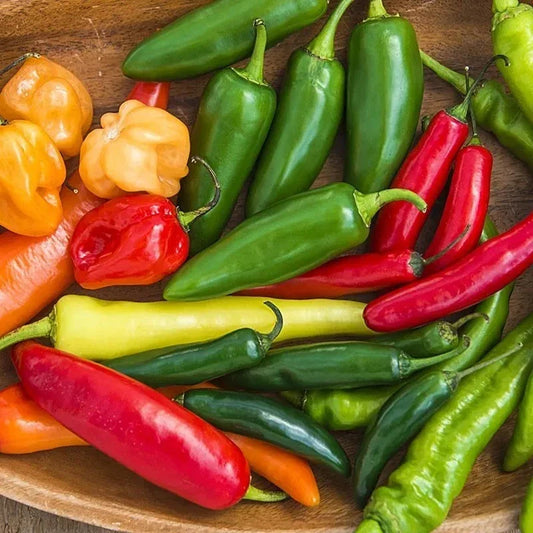 Hot Pepper Seeds Mix - 50+ Heirloom Varieties, Vibrant Colors, Capsicum Annuum, Non-GMO Seed Packet for Garden, Container, and Raised Bed Planting