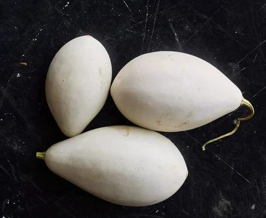 Nest Egg Gourd Seeds Pack - Lagenaria siceraria - Garden Planting, Decorative Gourds, Organic, Non-GMO, Easy to Grow, 25+ Seeds