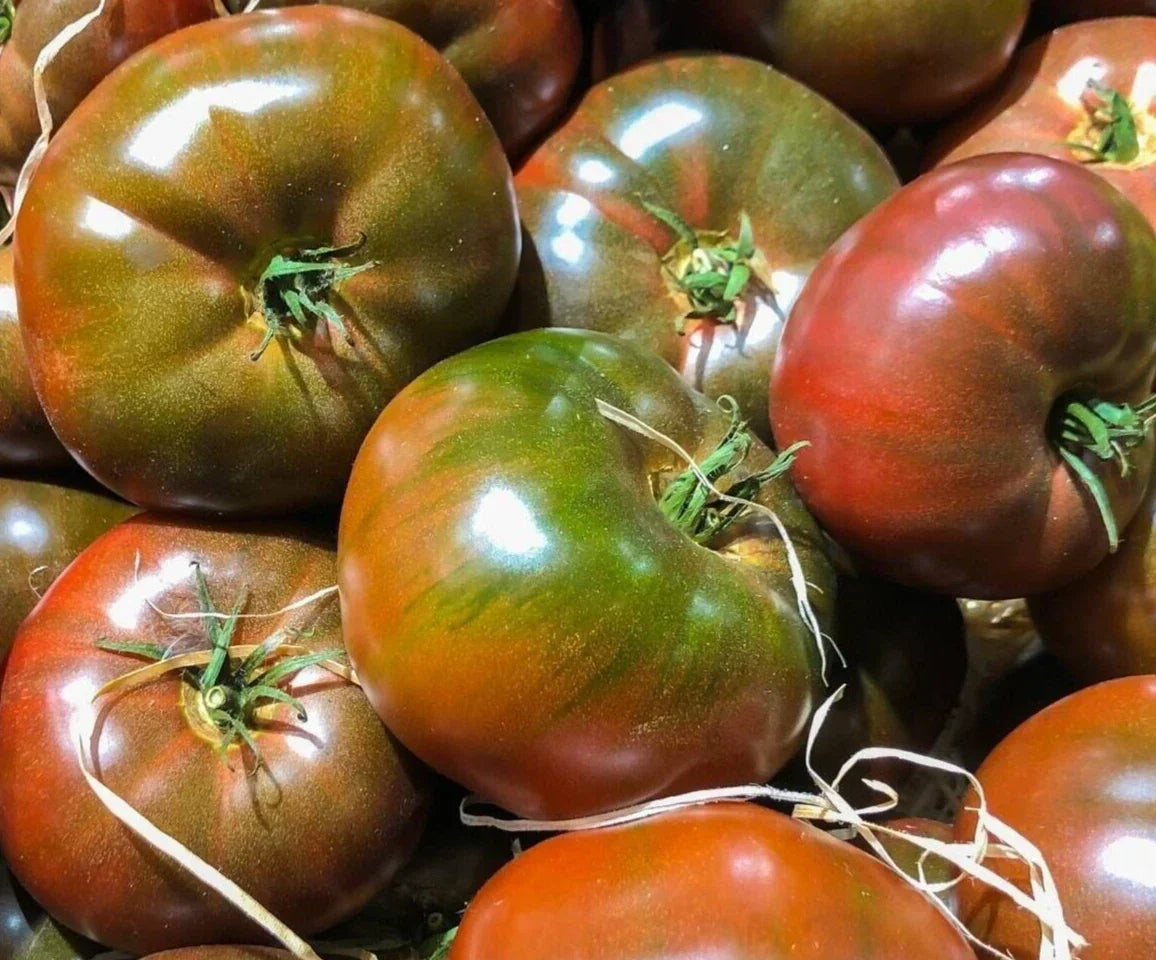 Black Krim Tomato Seeds - Indeterminate Heirloom Variety for Home Garden, Russian Solanum lycopersicum, 100+ Seeds