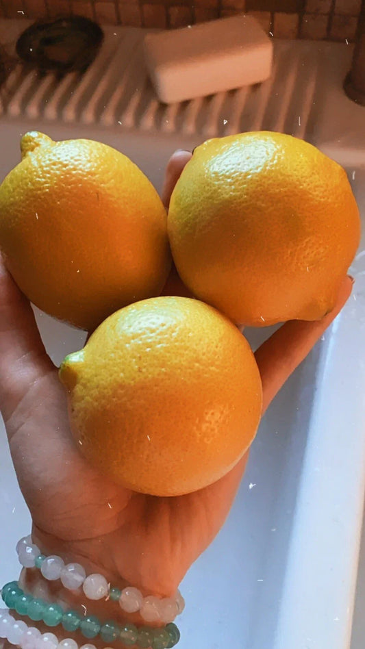 Organic Lemon Seeds - 5 Non-GMO Citrus limon Fruit Tree Seeds for Garden Planting